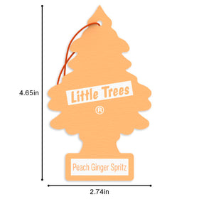 LITTLE TREES hung in a closet and laundry room delivering continuous freshness and odor control