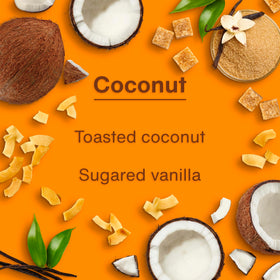 boxed bundle of LITTLE TREES coconut fresheners, ideal for restocking and sharing