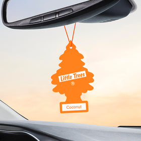 LITTLE TREES coconut hung near car dashboard delivering consistent fresh scent