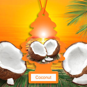 close-up texture of LITTLE TREES coconut tree showing scent-infused material benefits