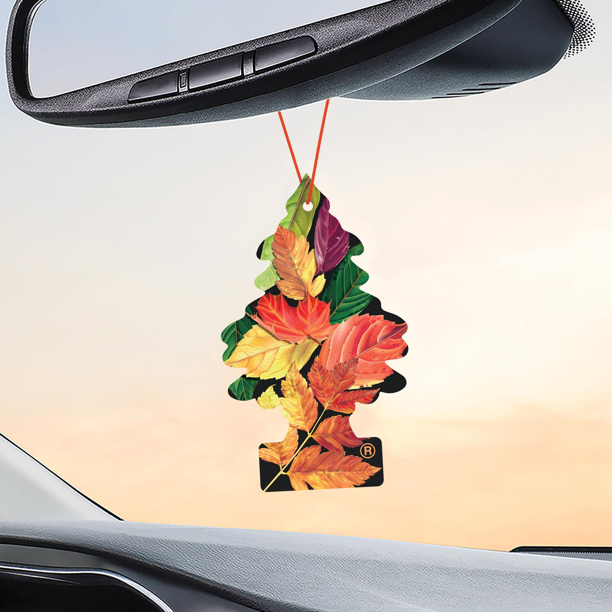 LITTLE TREES tree hung inside closet providing compact space freshness and odor control
