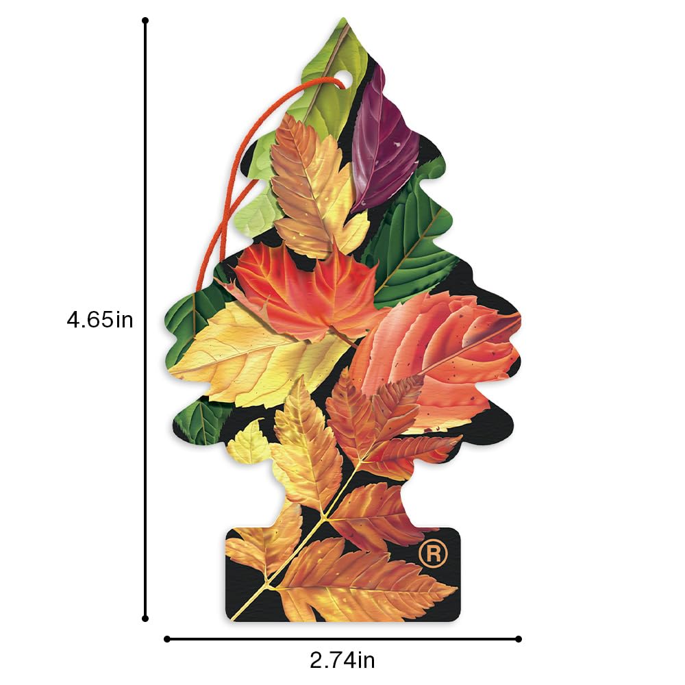 LITTLE TREES tree beside smartphone showing scale and portability for versatile placement