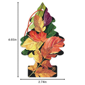 LITTLE TREES tree beside smartphone showing scale and portability for versatile placement