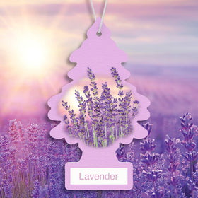 LITTLE TREES hanging from a rearview mirror providing continuous fragrance