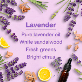 LITTLE TREES hung in a closet refreshing clothes with calming lavender scent