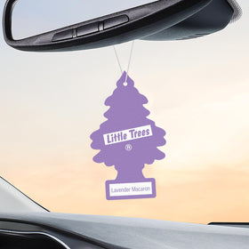 LITTLE TREES card held in hand showing compact size and portable benefit