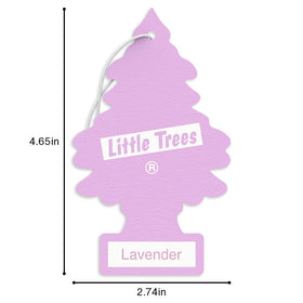 LITTLE TREES texture and scent card detail highlighting scent delivery