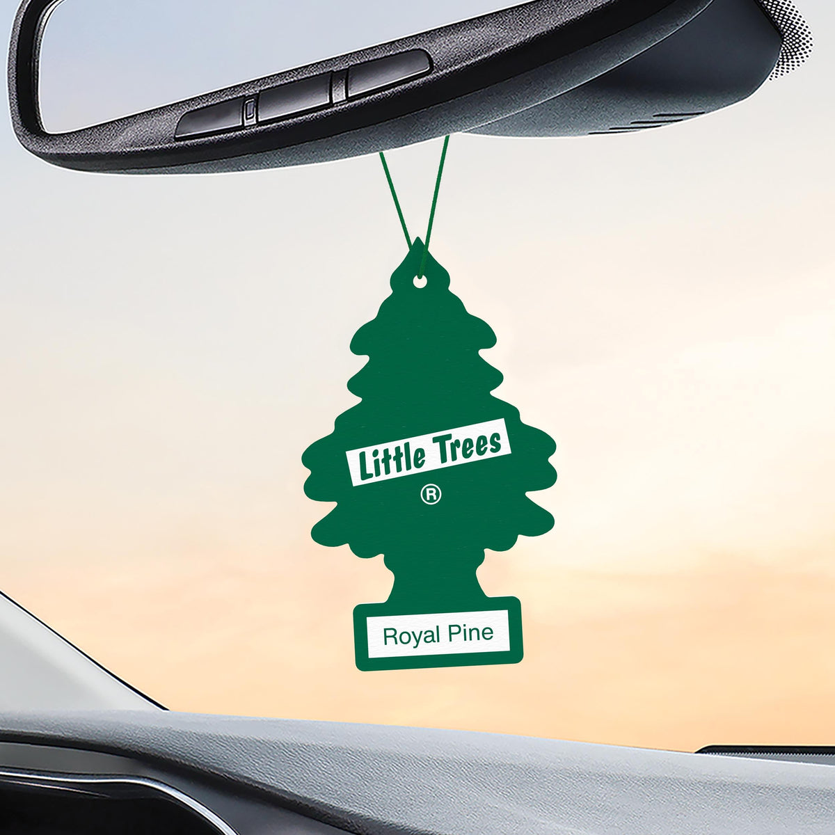 LITTLE TREES Royal Pine hung in bathroom offering fast small-space odor control