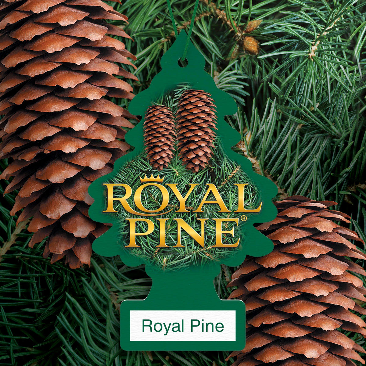 LITTLE TREES individually wrapped Royal Pine unit demonstrating freshness seal