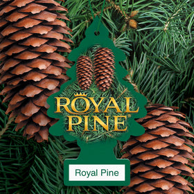 LITTLE TREES individually wrapped Royal Pine unit demonstrating freshness seal