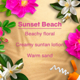 open packet with multiple LITTLE TREES Sunset Beach trees ready to use