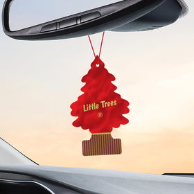 LITTLE TREES displayed in home entryway, provides welcoming fresh scent