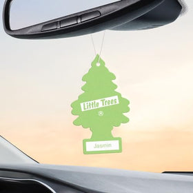 LITTLE TREES porous material texture showing steady scent release benefit