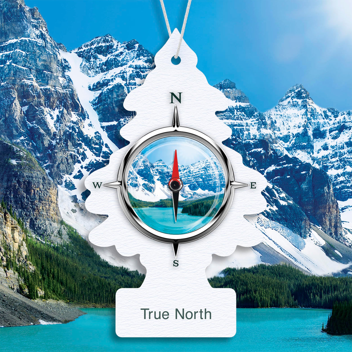 LITTLE TREES hanging True North tree from rearview mirror freshening cabin