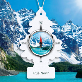 LITTLE TREES hanging True North tree from rearview mirror freshening cabin