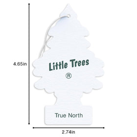 LITTLE TREES True North hanging in hallway closet keeping clothes fresh