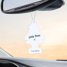 LITTLE TREES full 24-count pack staged to show quantity convenience