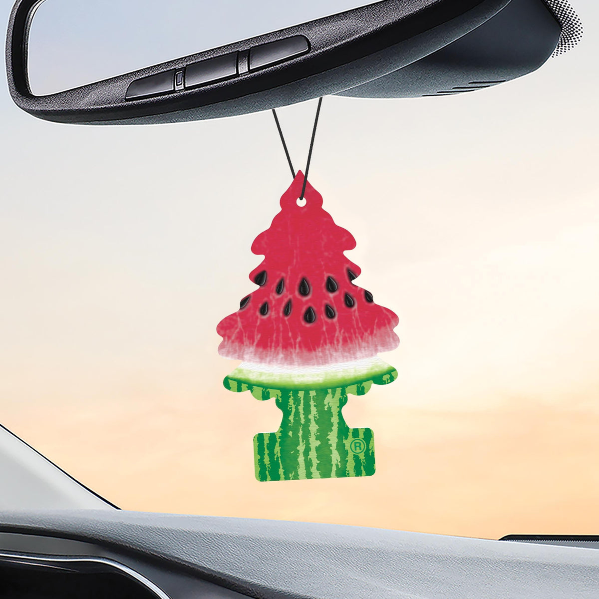 LITTLE TREES watermelon hung in bathroom reducing musty odors