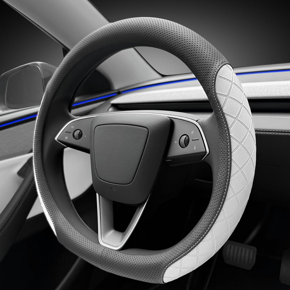 LKWLIKEI lifestyle dashboard view displaying coordinated cabin look and upgraded interior appeal