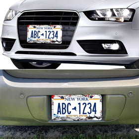 LRZJYDMB scale comparison with standard plate showing size accuracy and benefit: correct fit