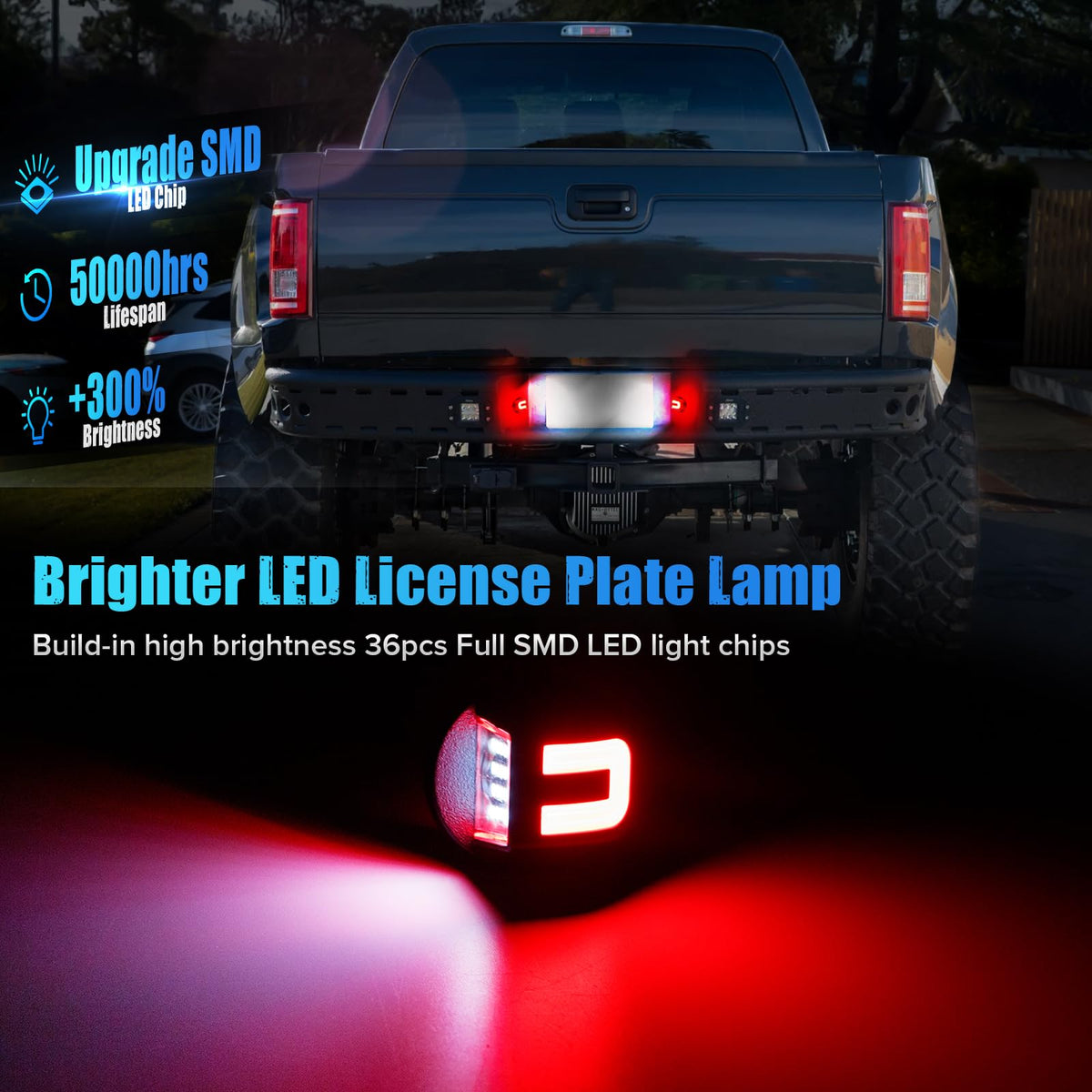 LUDARM close-up of 24 LED beads highlighting uniform light output and durability