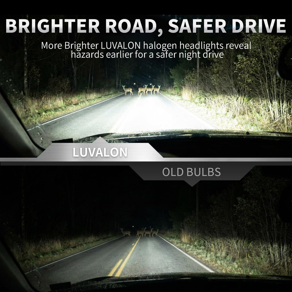 LUVALON beam pattern on road demonstrating improved visibility