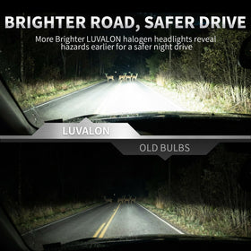 LUVALON beam pattern on road demonstrating improved visibility