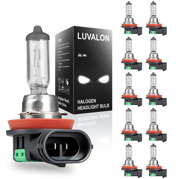 LUVALON front packaging showing ten H11 bulbs and clear labeling for quick inventory