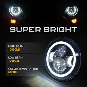 LX-LIGHT 4-inch fog light front view with white DRL halo delivering improved low-angle illumination