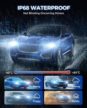 Marsauto night road visibility demonstration showing brighter illumination