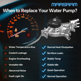 Marsram impeller detail illustrating robust vanes for steady coolant flow