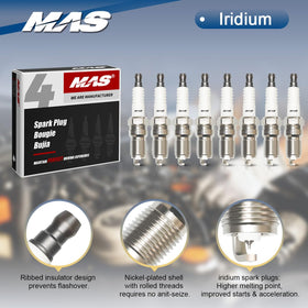 MAS kit arranged on workbench illustrating full set of eight coils and plugs for complete service