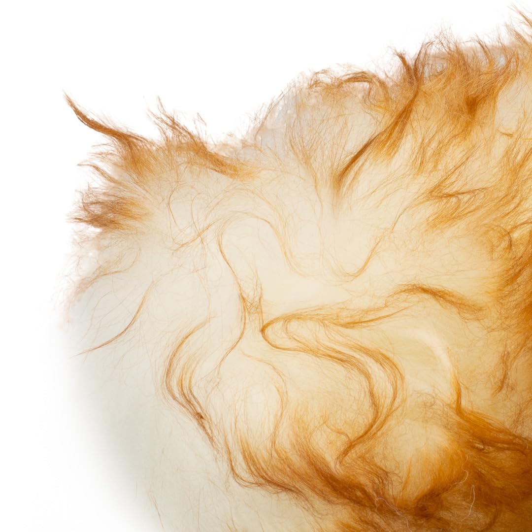 Maxshine lambswool head texture close-up showing high-density fibers for gentle dust pickup