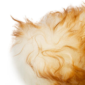 Maxshine lambswool head texture close-up showing high-density fibers for gentle dust pickup