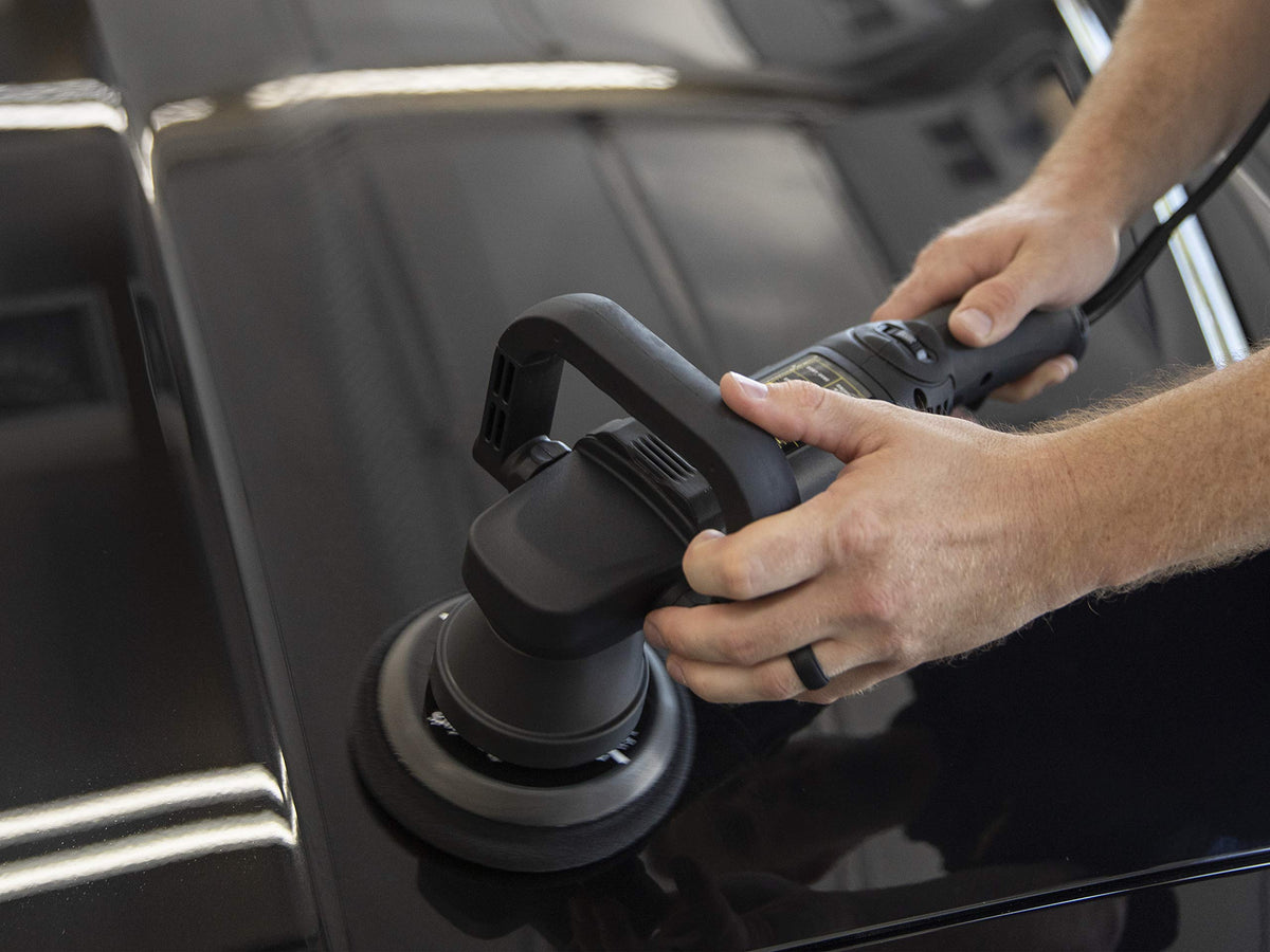 Meguiar's polished panel reflecting trees to show high-gloss finish benefit
