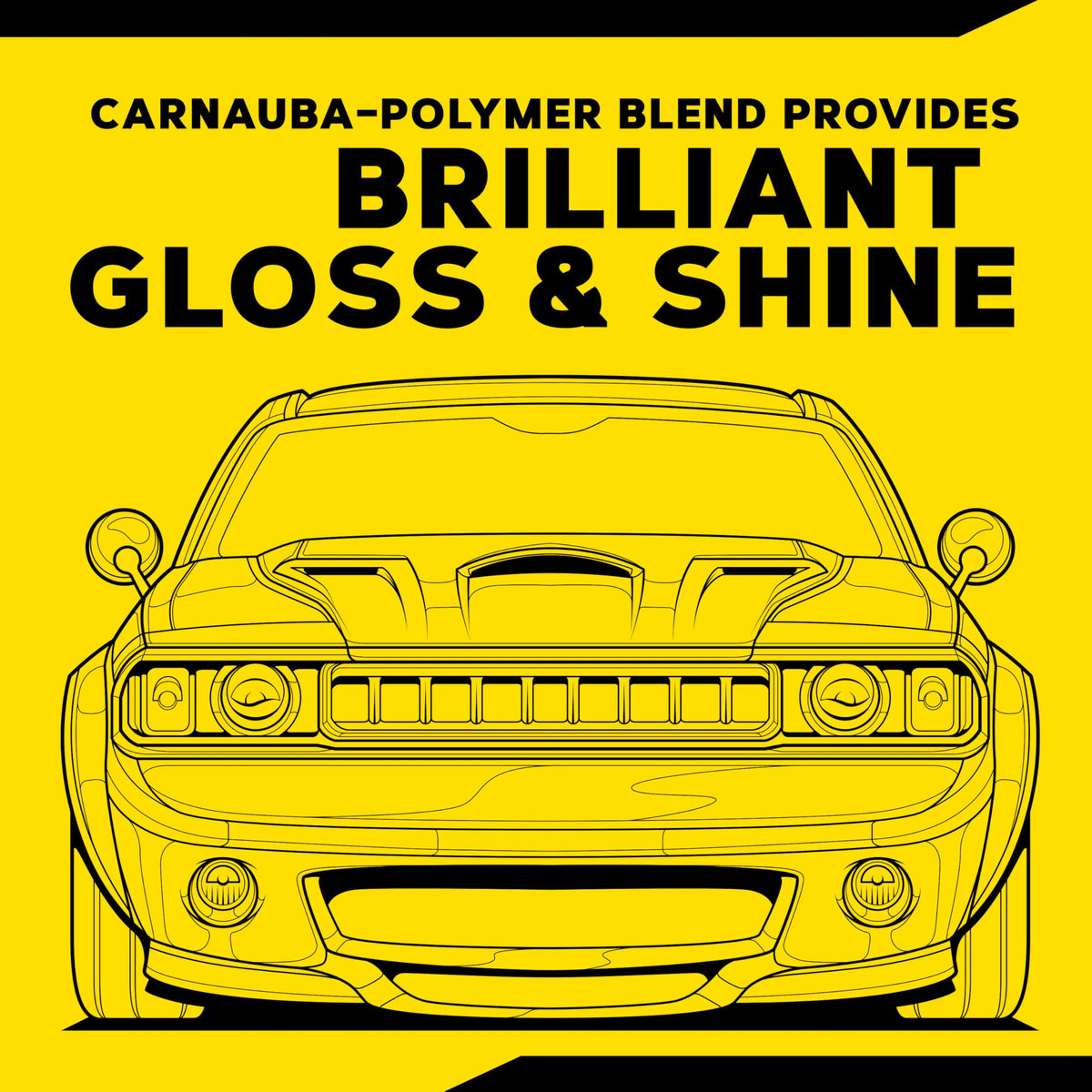 Meguiar's polished panel reflection showing deep gloss and clear reflections