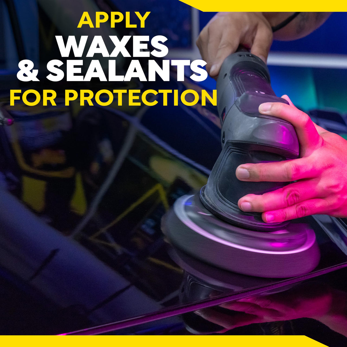 Meguiar's pad next to 6" backing plate showing correct size fit