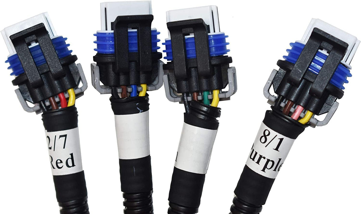 Michigan Motorsports harness installed on engine illustrating improved ignition reliability