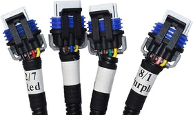 Michigan Motorsports harness installed on engine illustrating improved ignition reliability