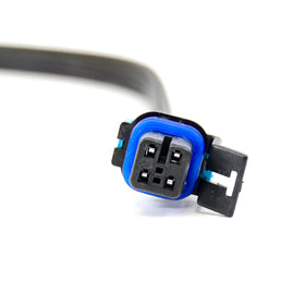 Michigan Motorsports harness next to ruler showing 24-inch scale for planning installations