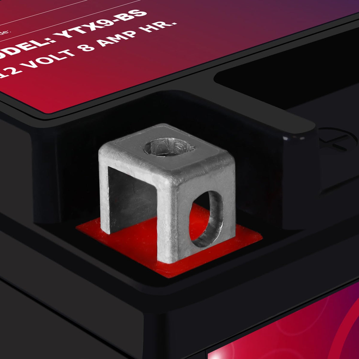 Mighty Max Battery with packaging and warranty card showing included one-year warranty