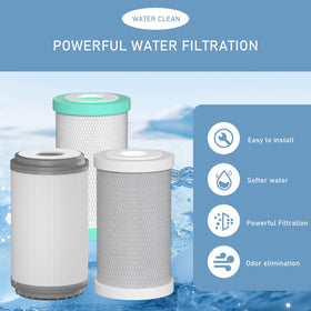 Mixzeny sediment filter detail protecting downstream cartridges