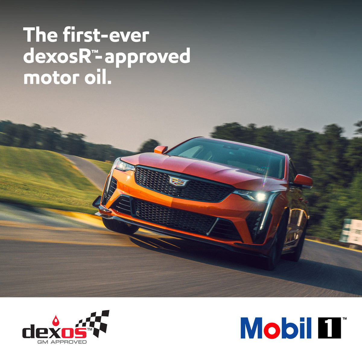 Mobil 1 Supercar 0W-40 used during maintenance on a performance car illustrating reliable protection under stress