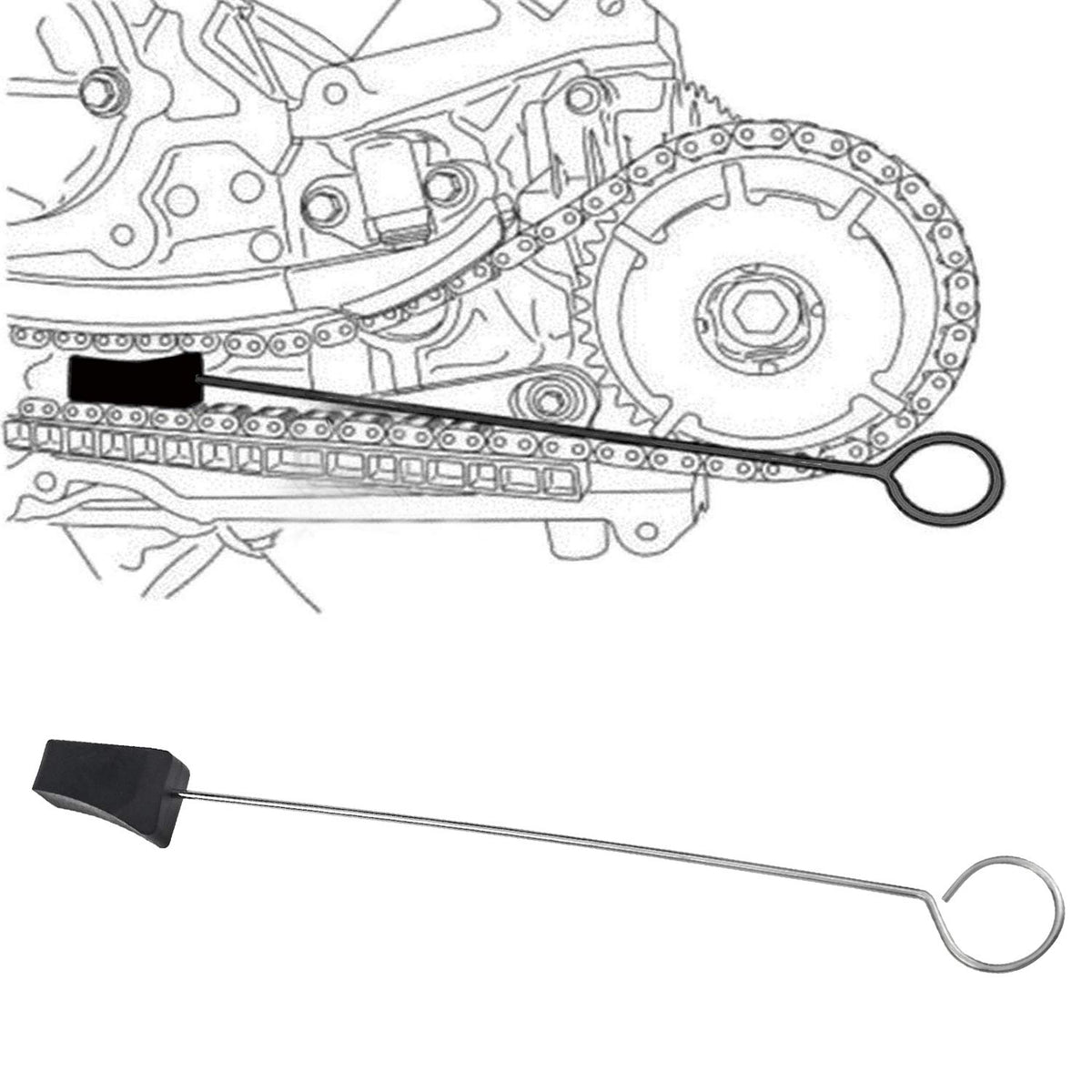 MOEBULB size comparison with ruler to show scale and compatibility