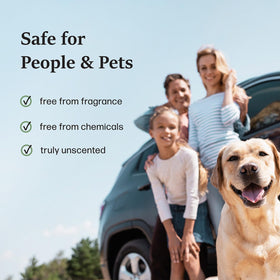 Moso Natural bags in trunk freshening cargo and damp gear effectively