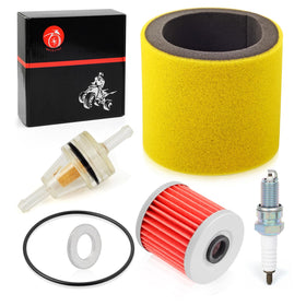 MOTO1988 spark plug and oil filter detail illustrating correct replacement parts