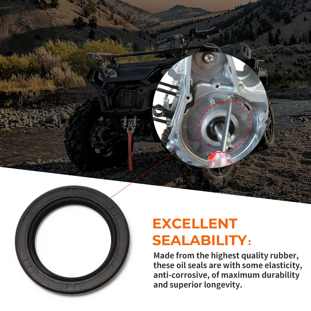 MOTOQUEEN oil seal and paper gasket displaying reliable sealing and leak prevention