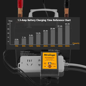 Mroinge label showing compatibility with 6V and 12V lead-acid types for broad use