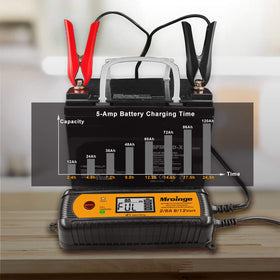 Mroinge closeup showing desulfation feature reviving older batteries