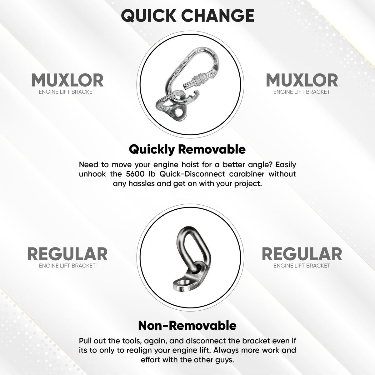 Muxlor size and scale comparison shows compact design and clear capacity reference benefit
